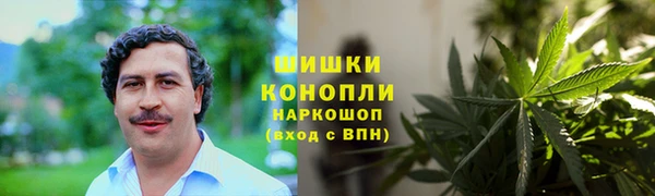 ПСИЛОЦИБИНОВЫЕ ГРИБЫ Карталы