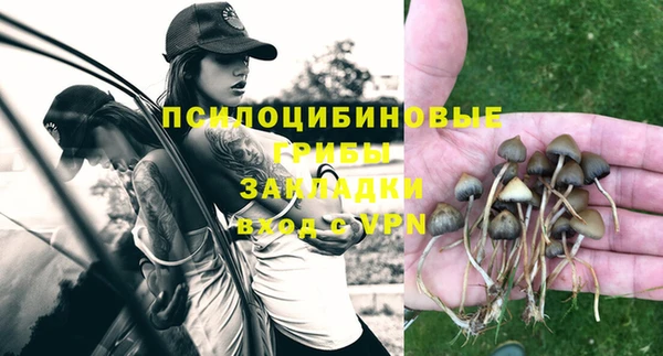 амф Карпинск