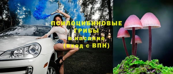 молекула духа Касимов