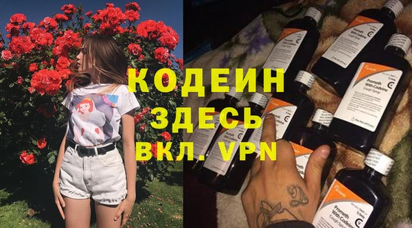 молекула духа Касимов