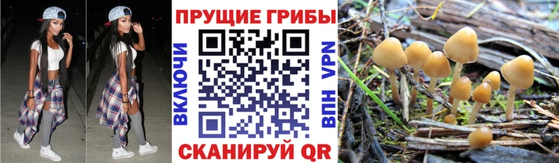 цена   Краснозаводск  гидра ONION  Галлюциногенные грибы мухоморы 